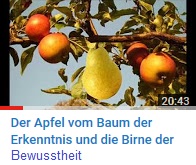 Die Birne der Bewusstheit Flensburg