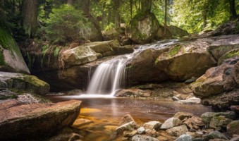 Copywriter Natur Wasser Wildbach