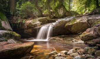 Copywriter Natur Wasser Wildbach