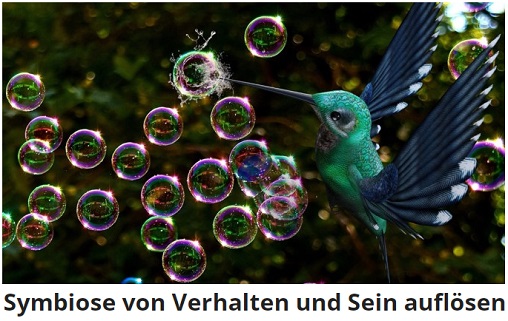 Die Symbiose von Sein und Verhalten auflsen